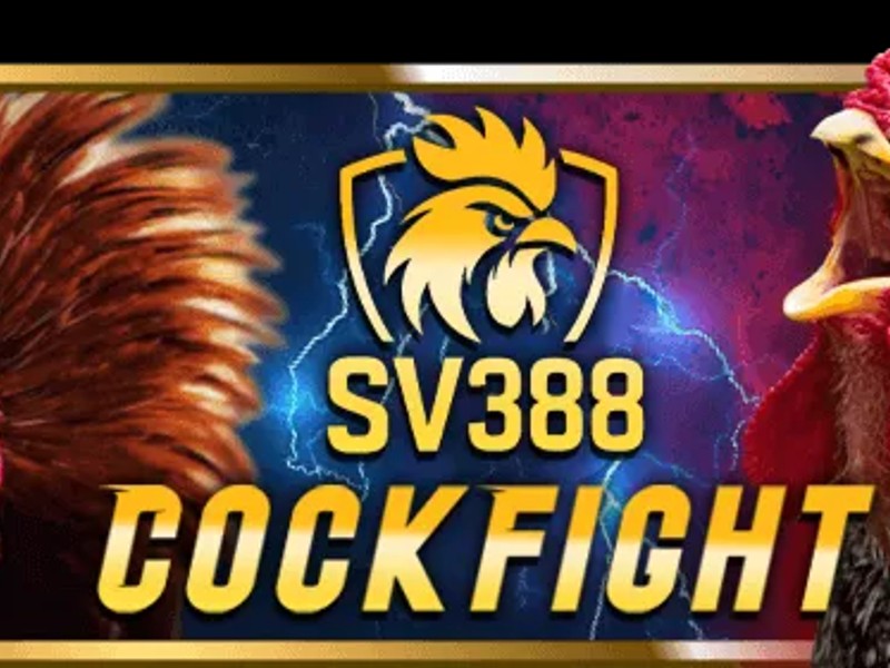 Cá cược Đá gà 78win